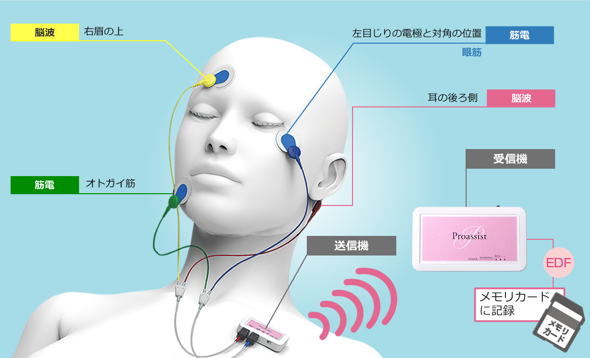 SleepGraph（スリープグラフ）電極装着図