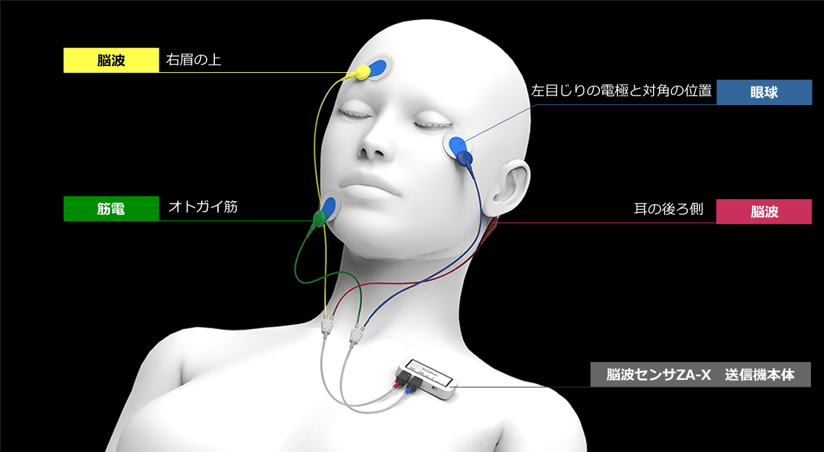 電極装着図